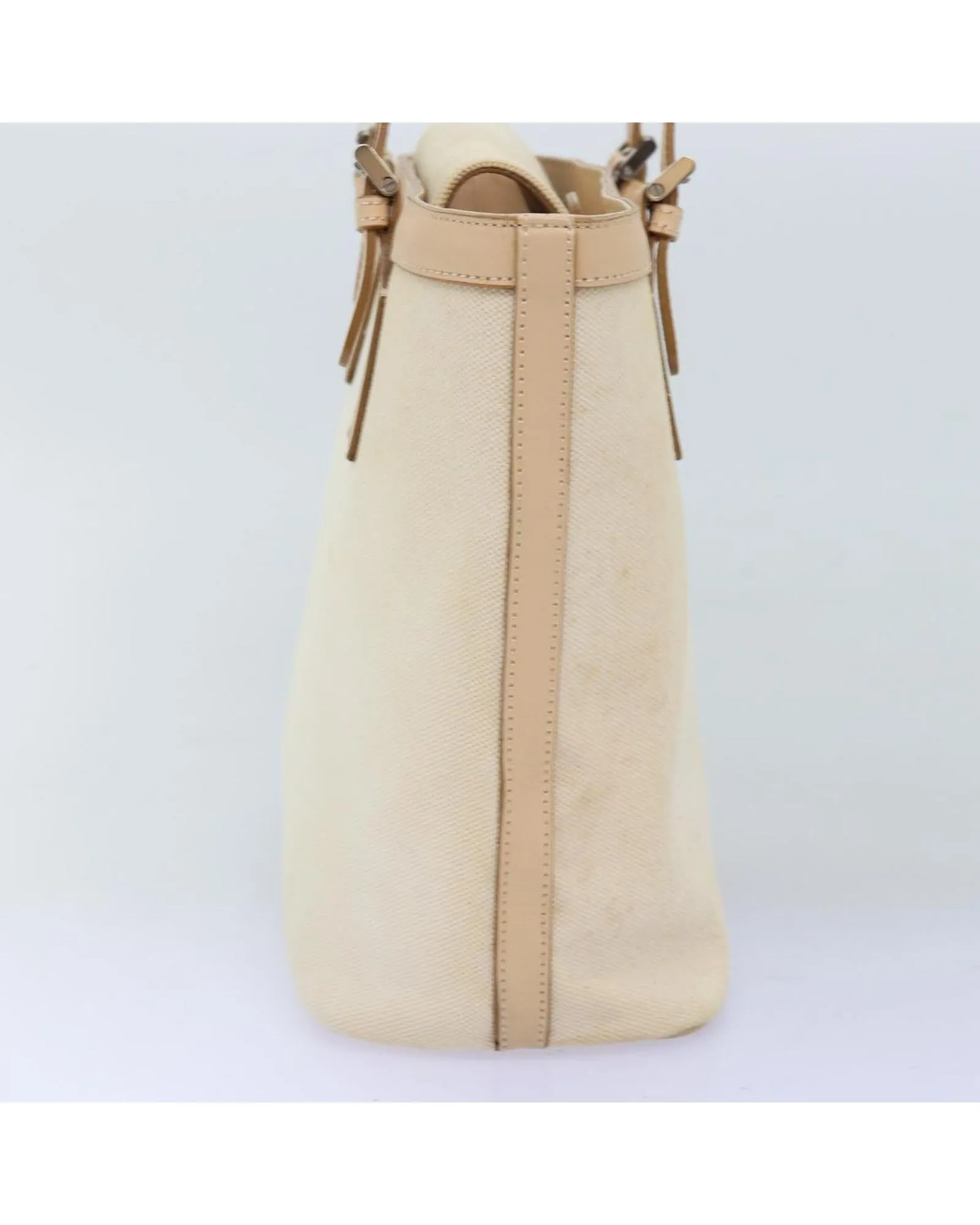 Canvas Beige Hand Bag with Accessories and CD Rank