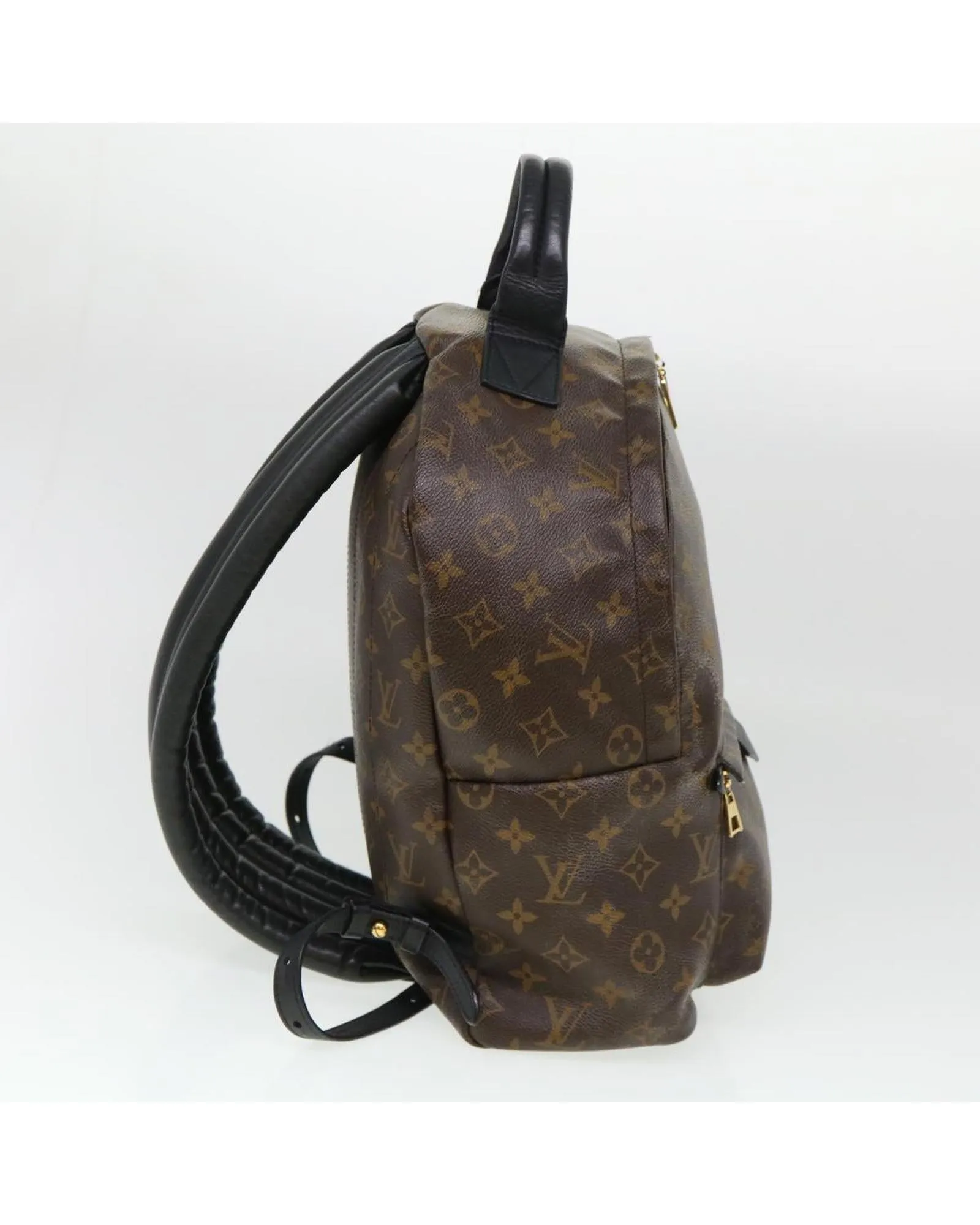 Monogram Palm Springs MM Backpack