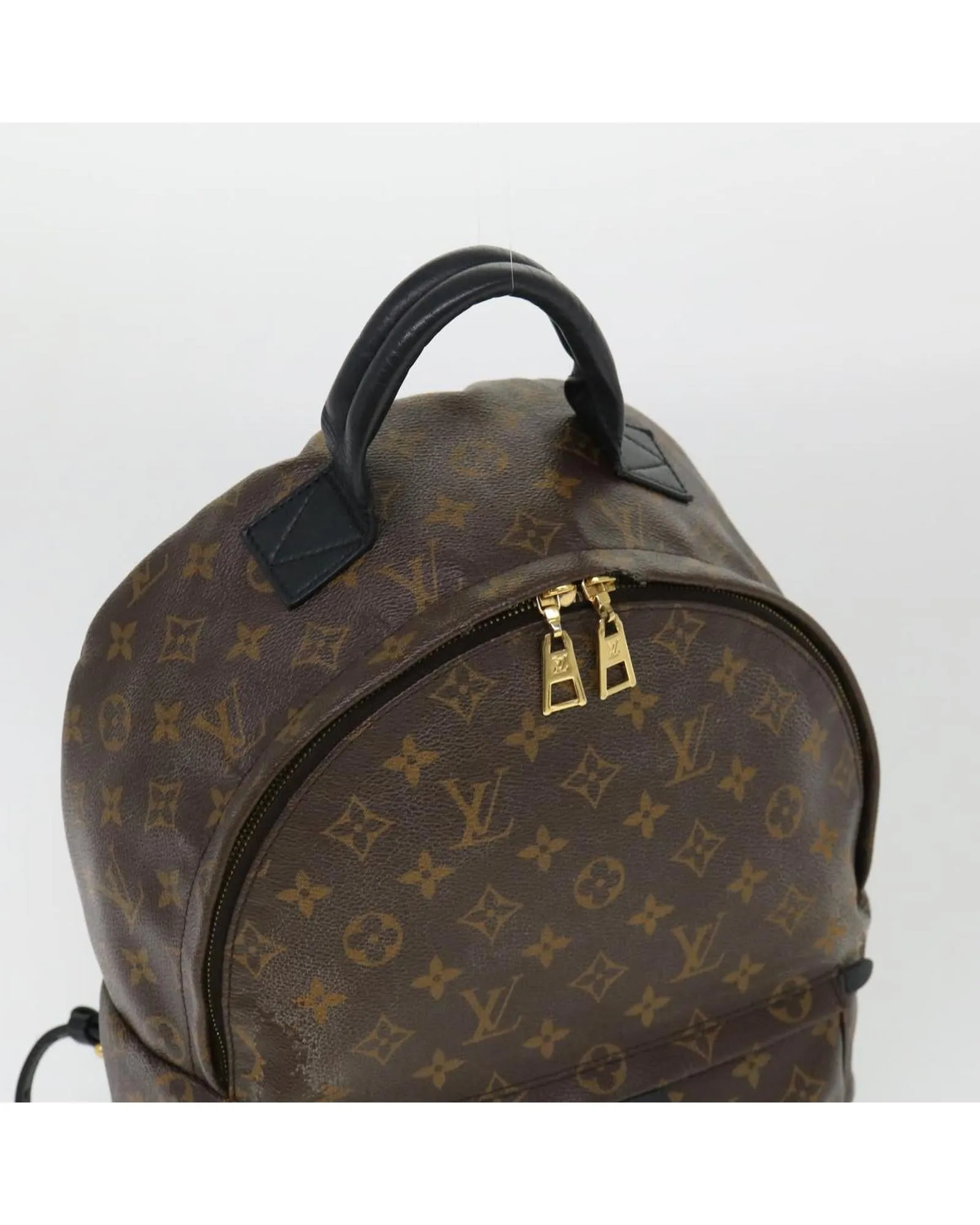 Monogram Palm Springs MM Backpack