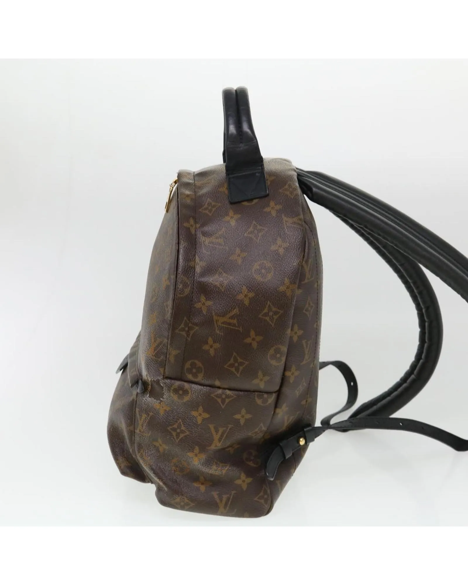 Monogram Palm Springs MM Backpack