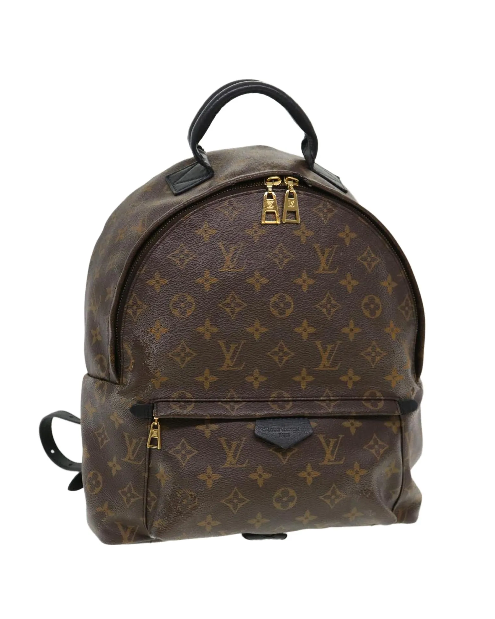 Monogram Palm Springs MM Backpack