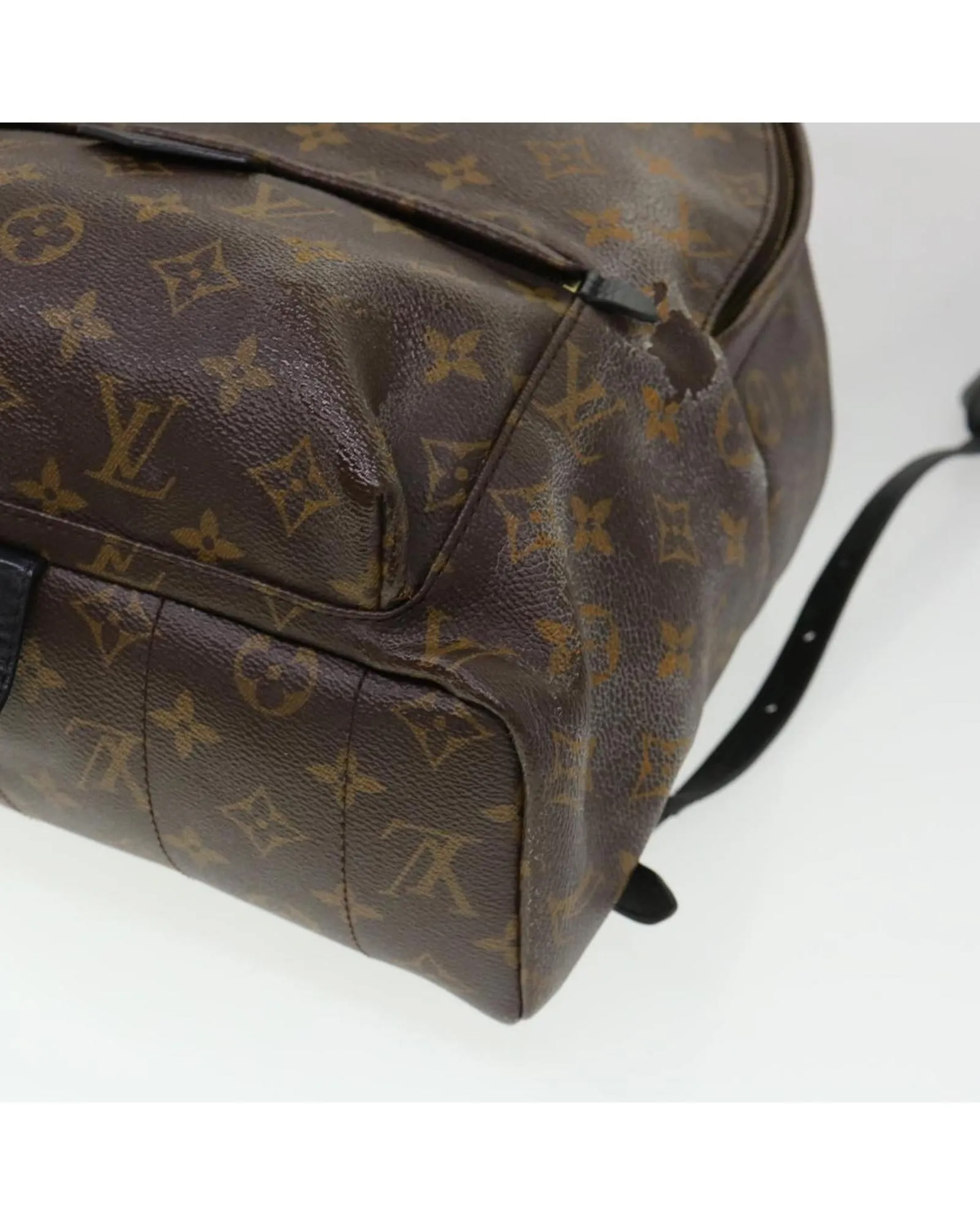 Monogram Palm Springs MM Backpack